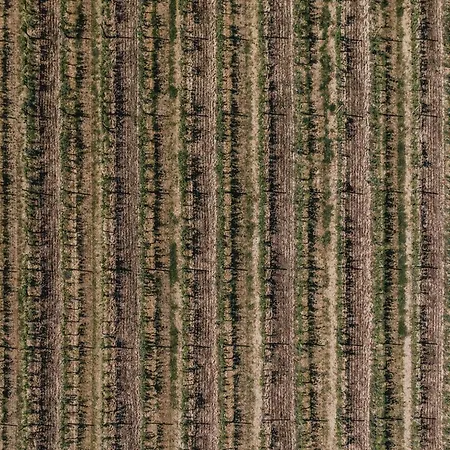 Podere Biagio * Valiano