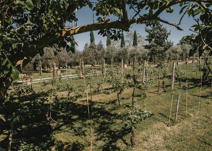 Podere Biagio