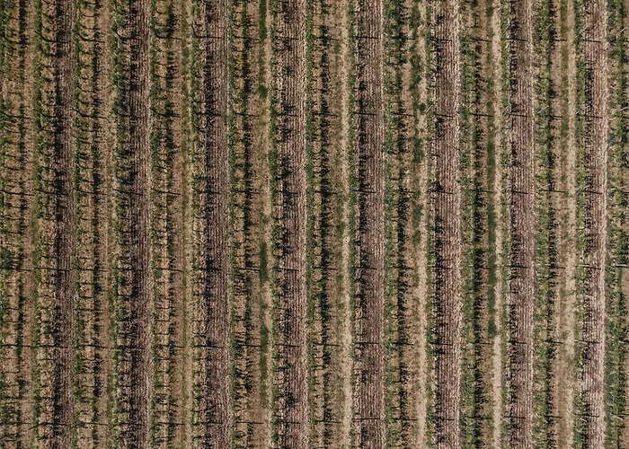 Podere Biagio * Valiano